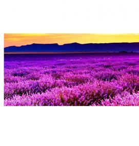 фартук для кухни: поле - модель 1