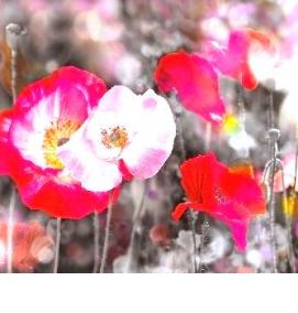 фартук для кухни: поле - модель 3