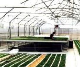 фермерские теплицы - тип 3