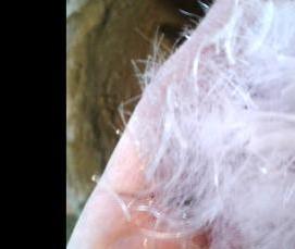 фиброволокно для стяжки - модель 4