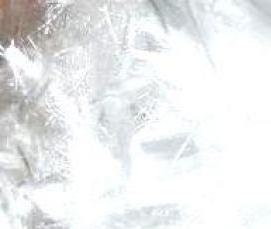 фиброволокно полипропиленовое - модель 2