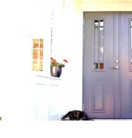 финские входные двери для загородного дома - модель 3