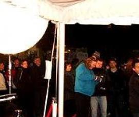 флокированный ковролин - тип 1