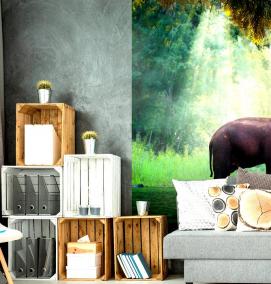 фотообои 3 на 5 - тип 4