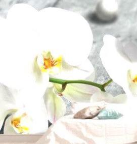 фотообои: 3д орхидеи - модель 3