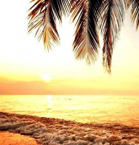 фотообои: берег моря - модель 1