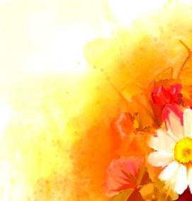 фотообои: букет - вариант 2