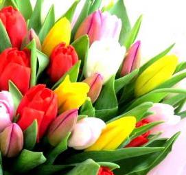 фотообои черные с цветами - модель 3