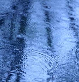 фотообои: дождь - вариант 2