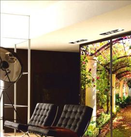 фотообои на дверь - вариант 1