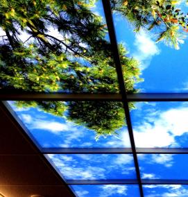 фотообои на потолок - вариант 3