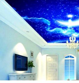 фотообои на потолок - вариант 2