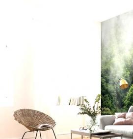 фотообои на стену: лес - тип 3