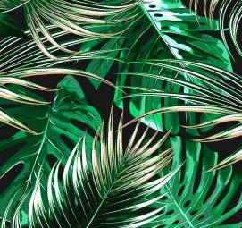фотообои: пальмовые листья - модель 3