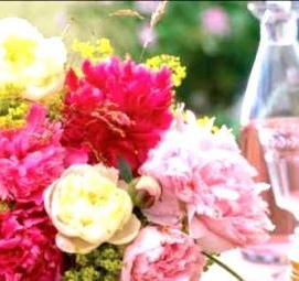 фотообои: пионы на стену - тип 2