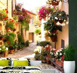 фотообои: ромашки на стену - тип 1