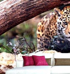 фотообои с животными - модель 4