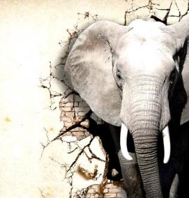 фотообои со слоном - модель 3