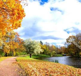 фотообои: золотая осень - модель 3