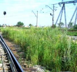 Геодезическая съемка железнодорожных путей - тип 1