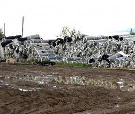 Геомат МТ 300 - модель 1