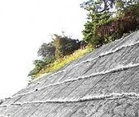 Геоматы для укрепления откосов - тип 1