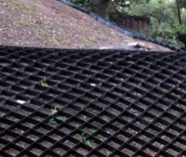 Георешетка ГР - модель 3