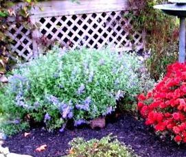 Геотекстиль для клумбы - модель 3