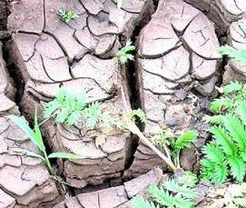 Геотекстиль на глинистой почве - вариант 3