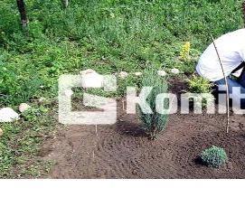 Геотекстиль от травы - вариант 3