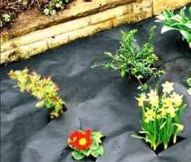 Геотекстиль под мульчу - вариант 3