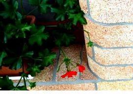 Гибкий кирпич - вариант 2