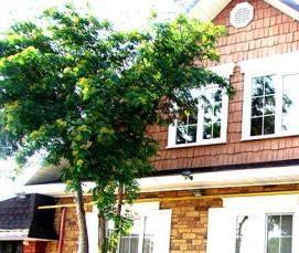 Гибкий облицовочный камень - модель 2