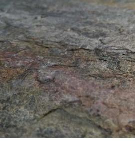 Гибкий шпон - модель 3