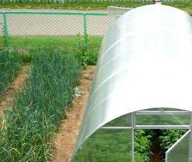 Гладкий поликарбонат прозрачный - модель 1