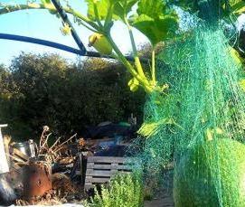 Готовая деревянная теплица - модель 2