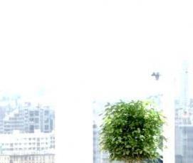 Готовые двухкамерные пластиковые окна - модель 2