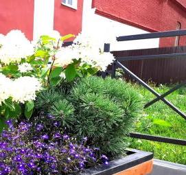 Гранитный вазон для цветов - модель 1