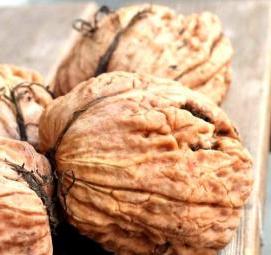 Грецкий орех президент саженцы - вариант 3