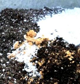 Грунт для рассады цветов - модель 1