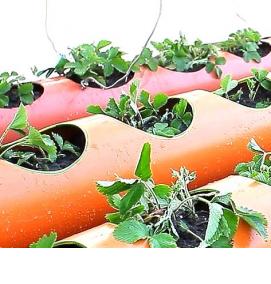 Грядки из пластиковых труб - тип 1