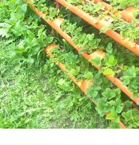 Грядки из пластиковых труб - тип 3