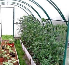 Грядки из поликарбоната - тип 2