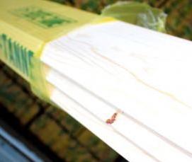 Имитация бруса 20х145х6000 мм - тип 1