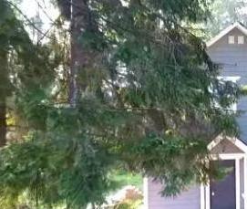 Имитация бруса под дерево - модель 4