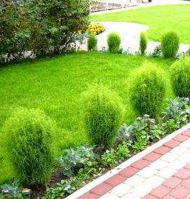 Инженерное благоустройство территории - вариант 2