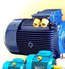 Исполнительный электродвигатель - вариант 4