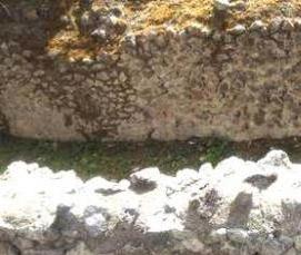 Известковый бетон - вариант 4