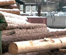 Канадское бревно - тип 1