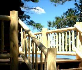 Кедр бревно - модель 1